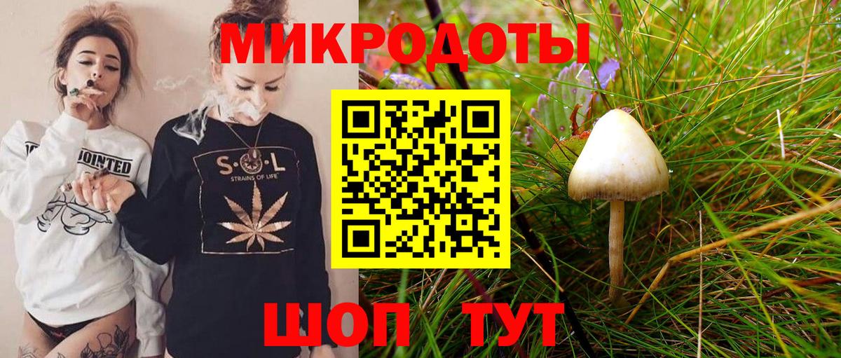 Прохладный  хочу   Вход с VPN  Галлюциногенные грибы MAGIC MUSHROOMS 
